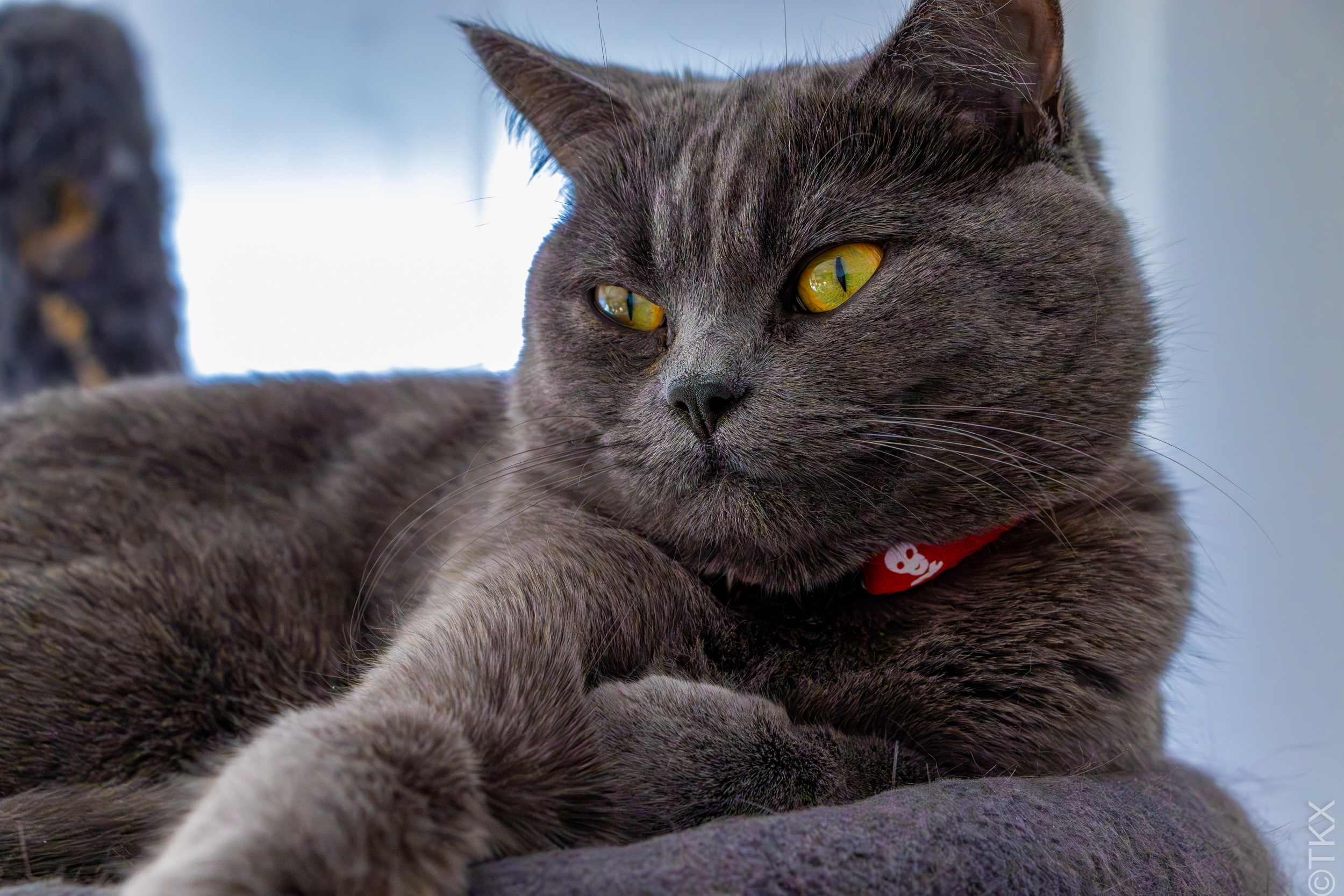 20240203 20240203 IMG 0008 Verbessert RR