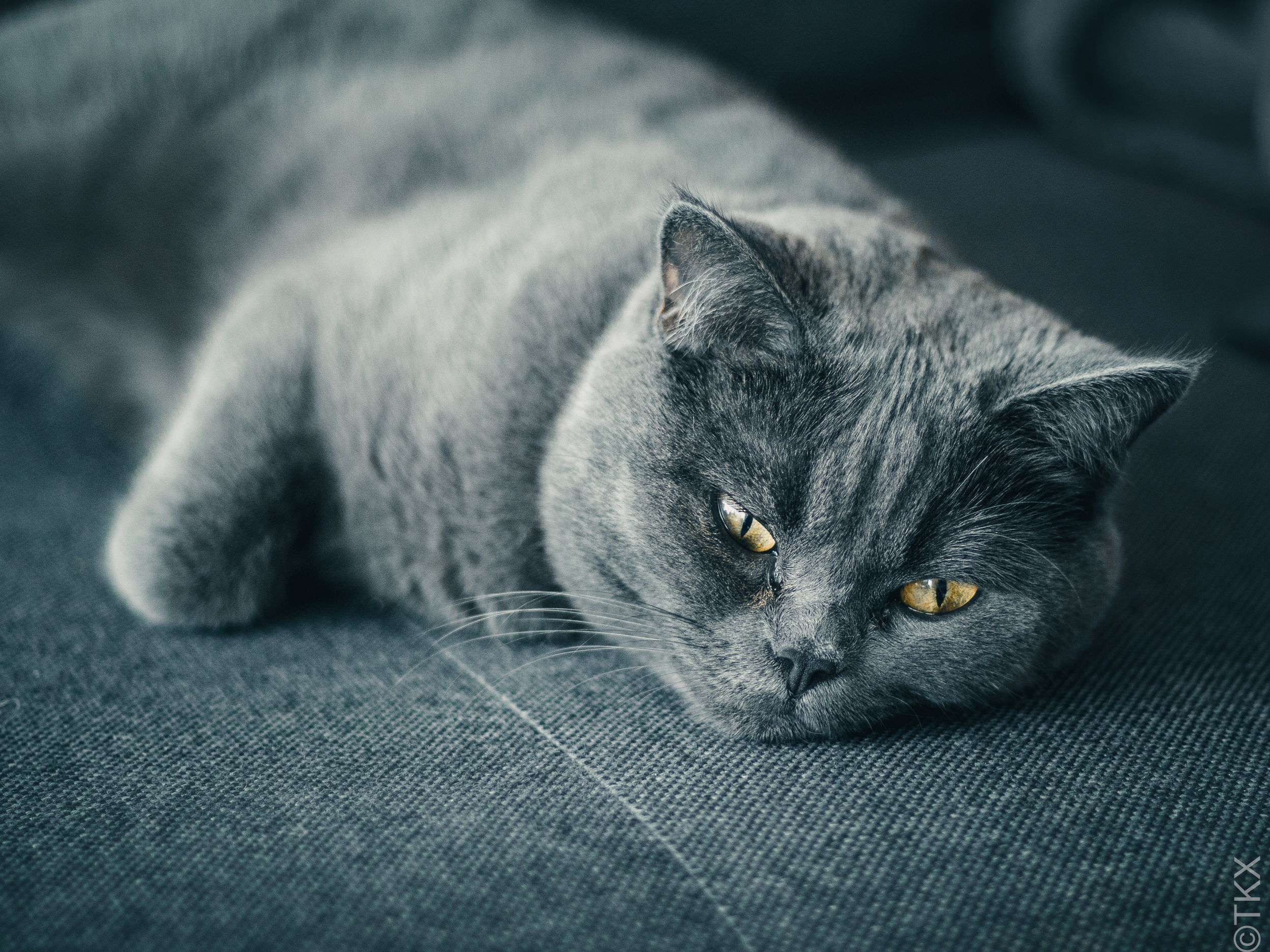 20240424 20240424 IMG 0993