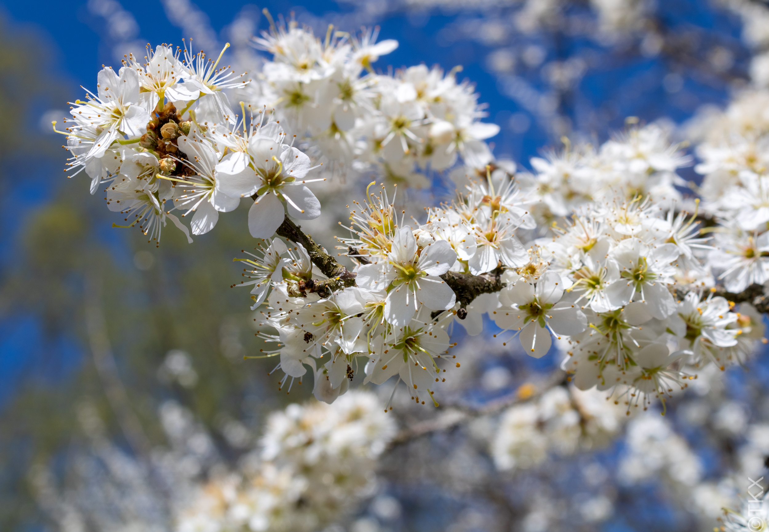 20220418 20220418 IMG 4151