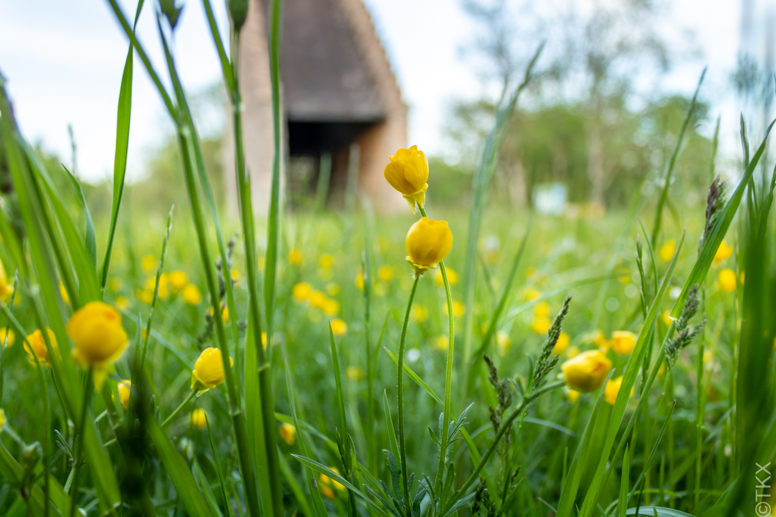 20220515 20220515 IMG 4199