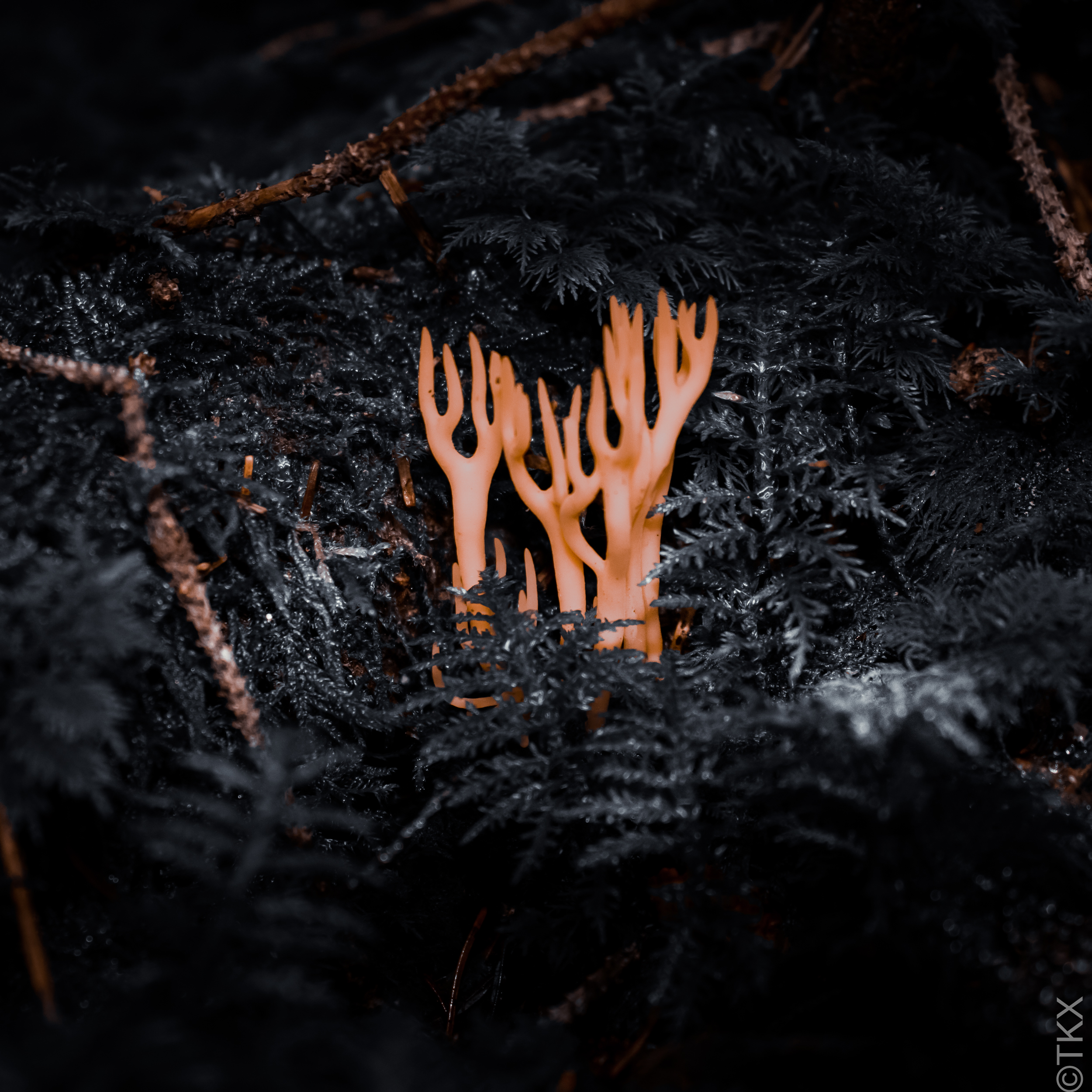 20220925 20220925 IMG 4456