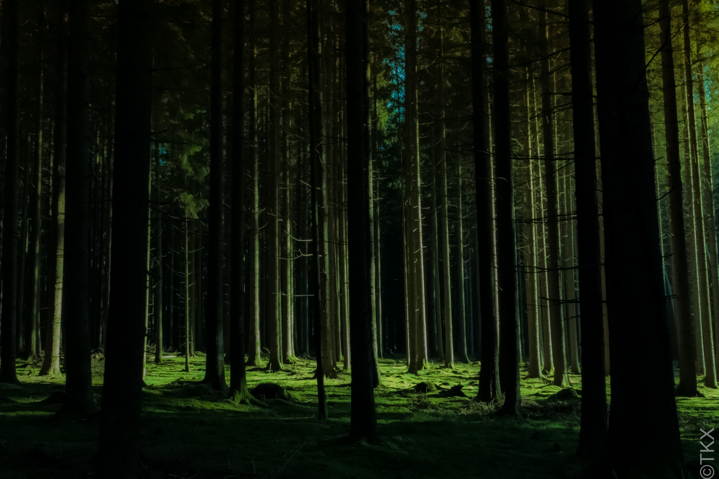 20221113 20221113 IMG 4511