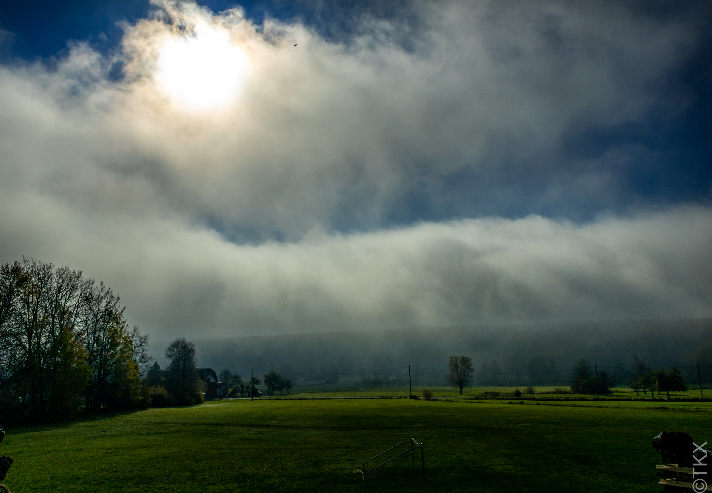 20221113 20221113 IMG 4533