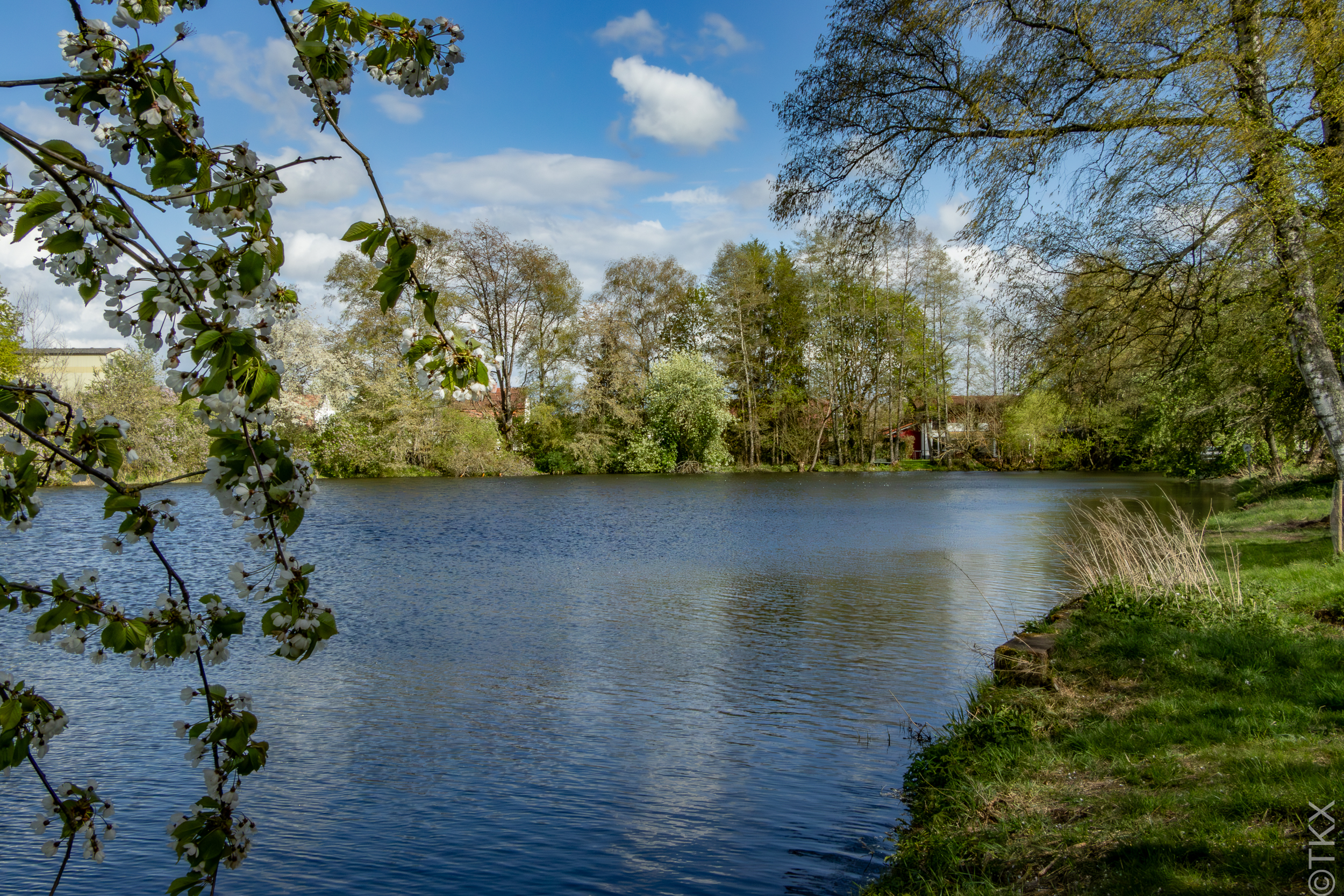 20240415 20240415 IMG 0920 Verbessert RR