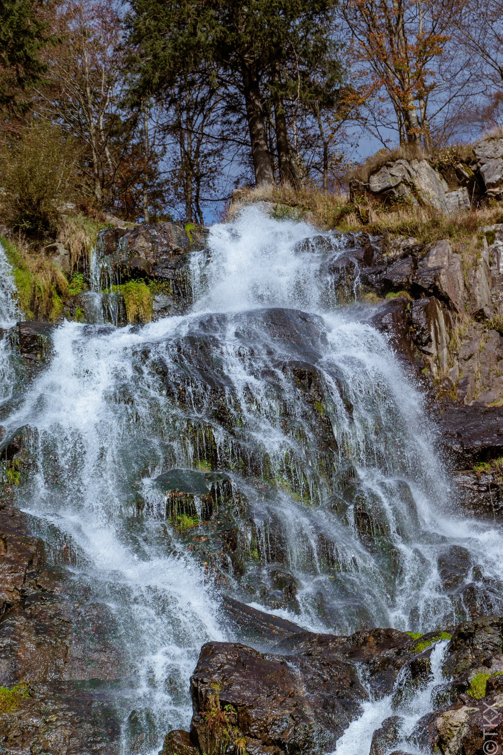 20241026 20241026 IMG 2601