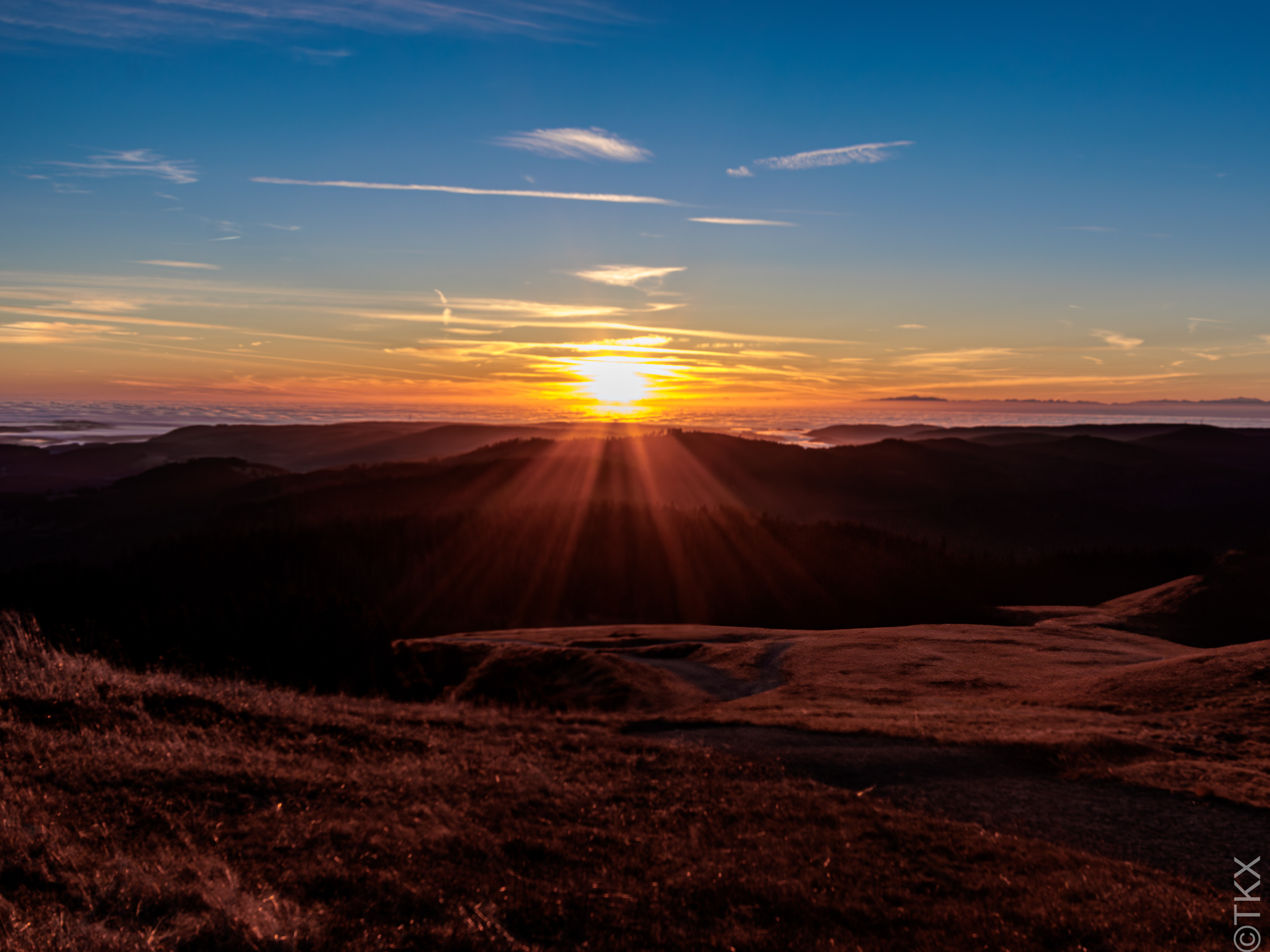 20241101 20241101 IMG 2688 Verbessert RR