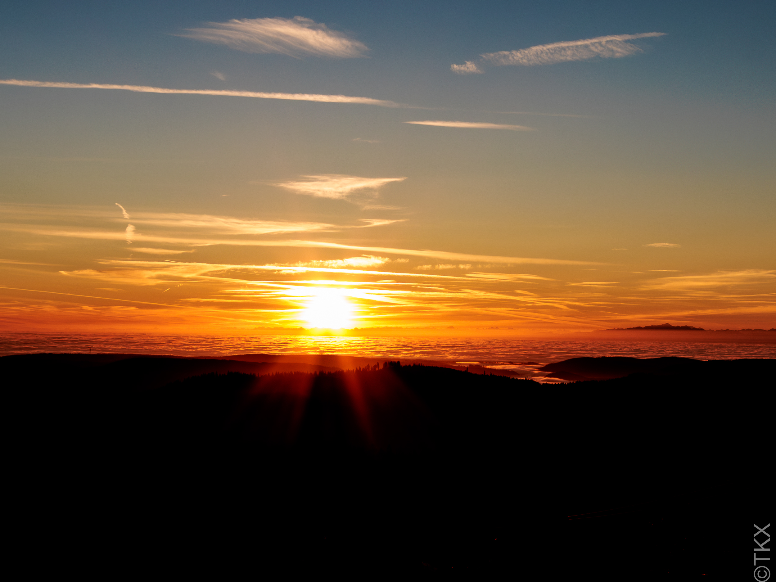 20241101 20241101 IMG 2690 Verbessert RR