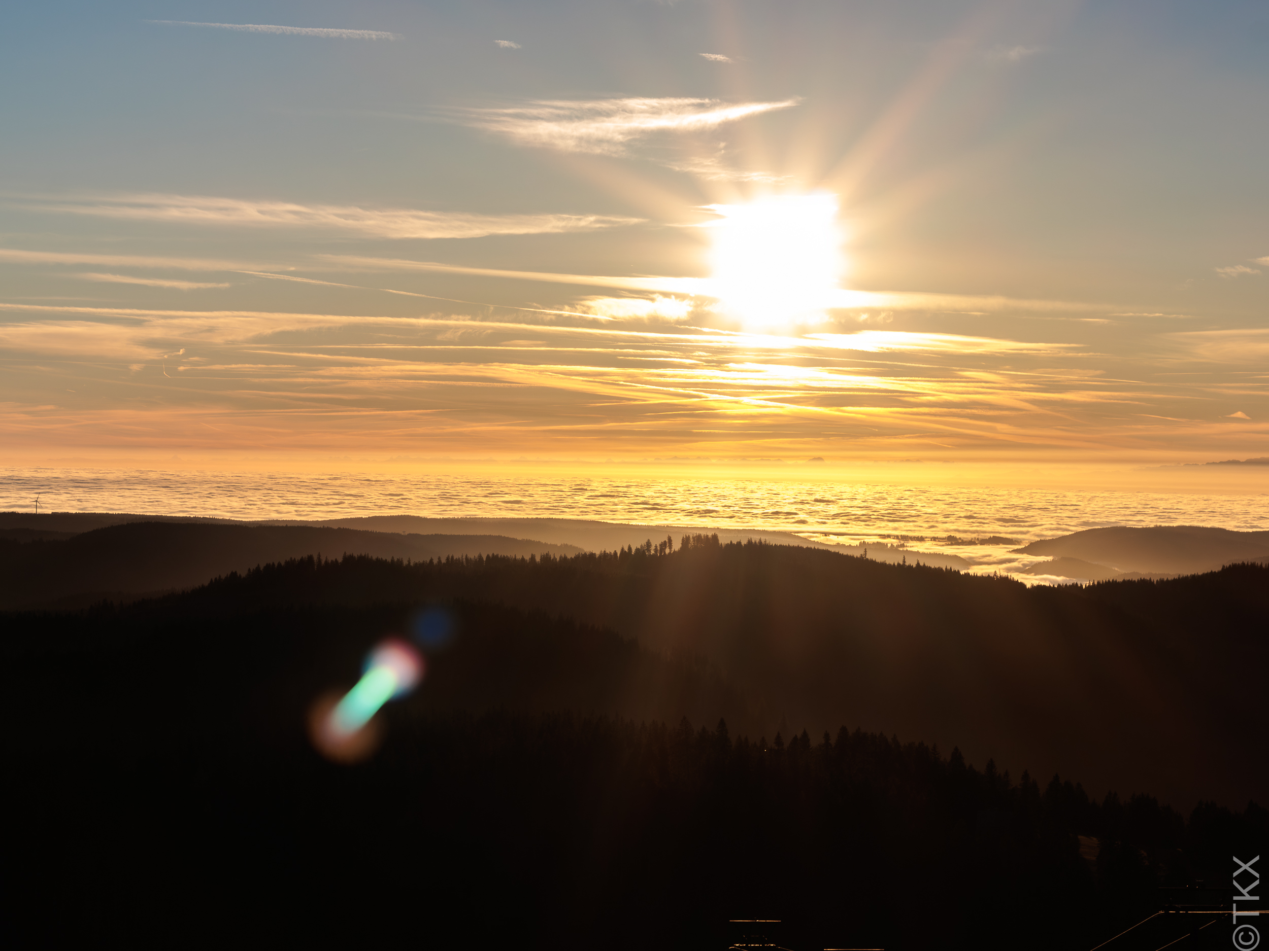 20241101 20241101 IMG 2702 Verbessert RR