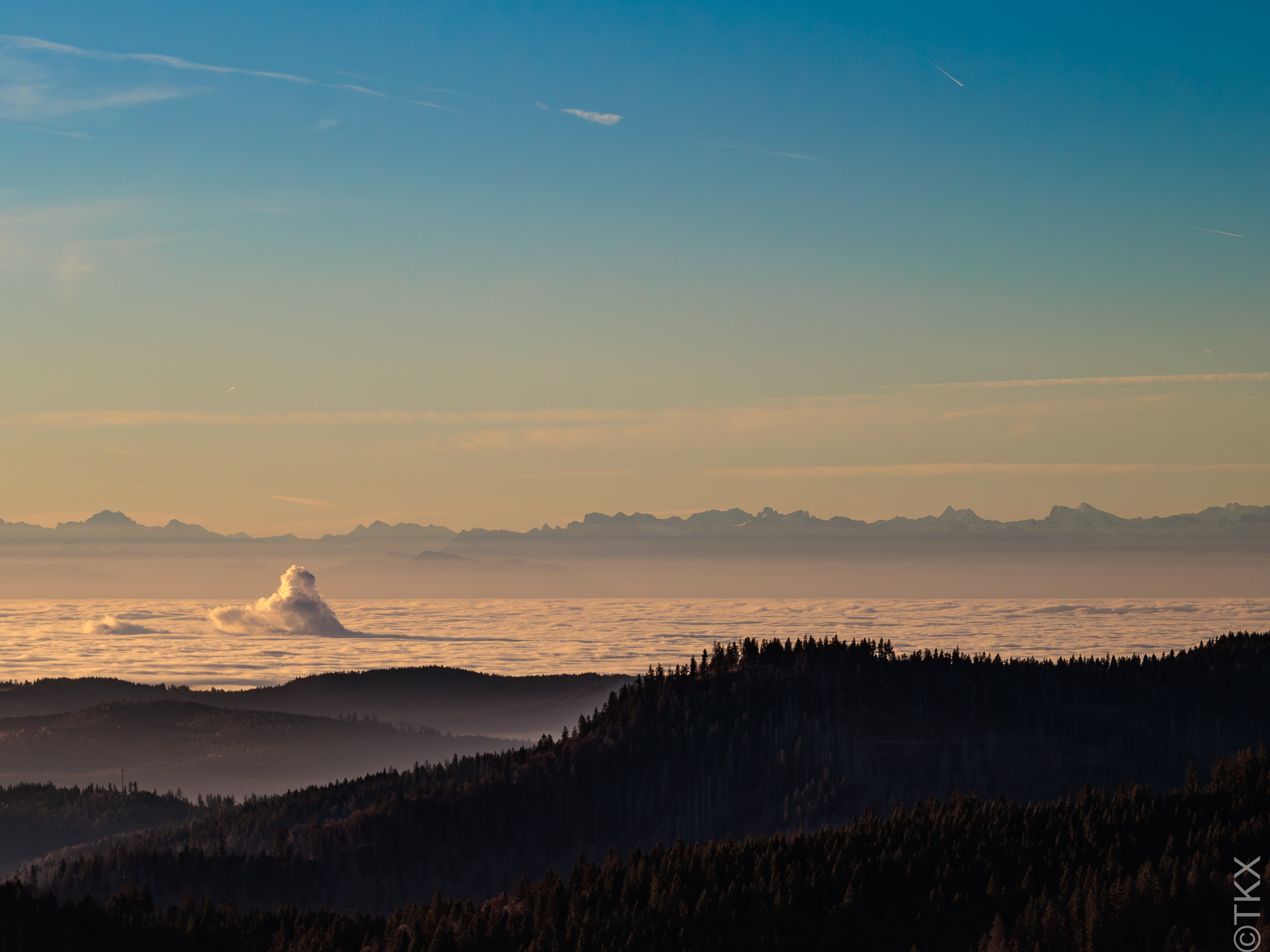 20241101 20241101 IMG 2709 Verbessert RR