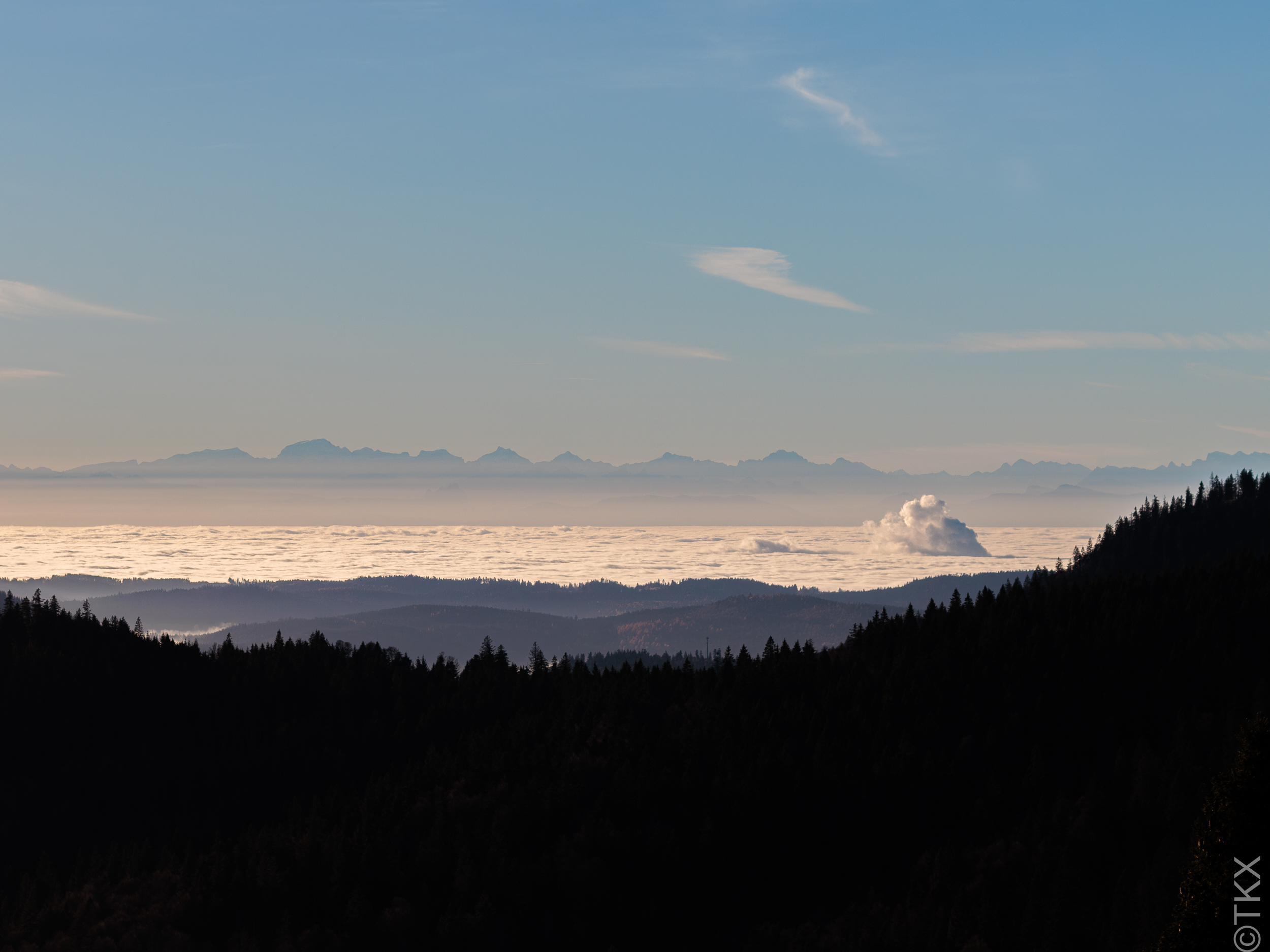 20241101 20241101 IMG 2723 Verbessert RR