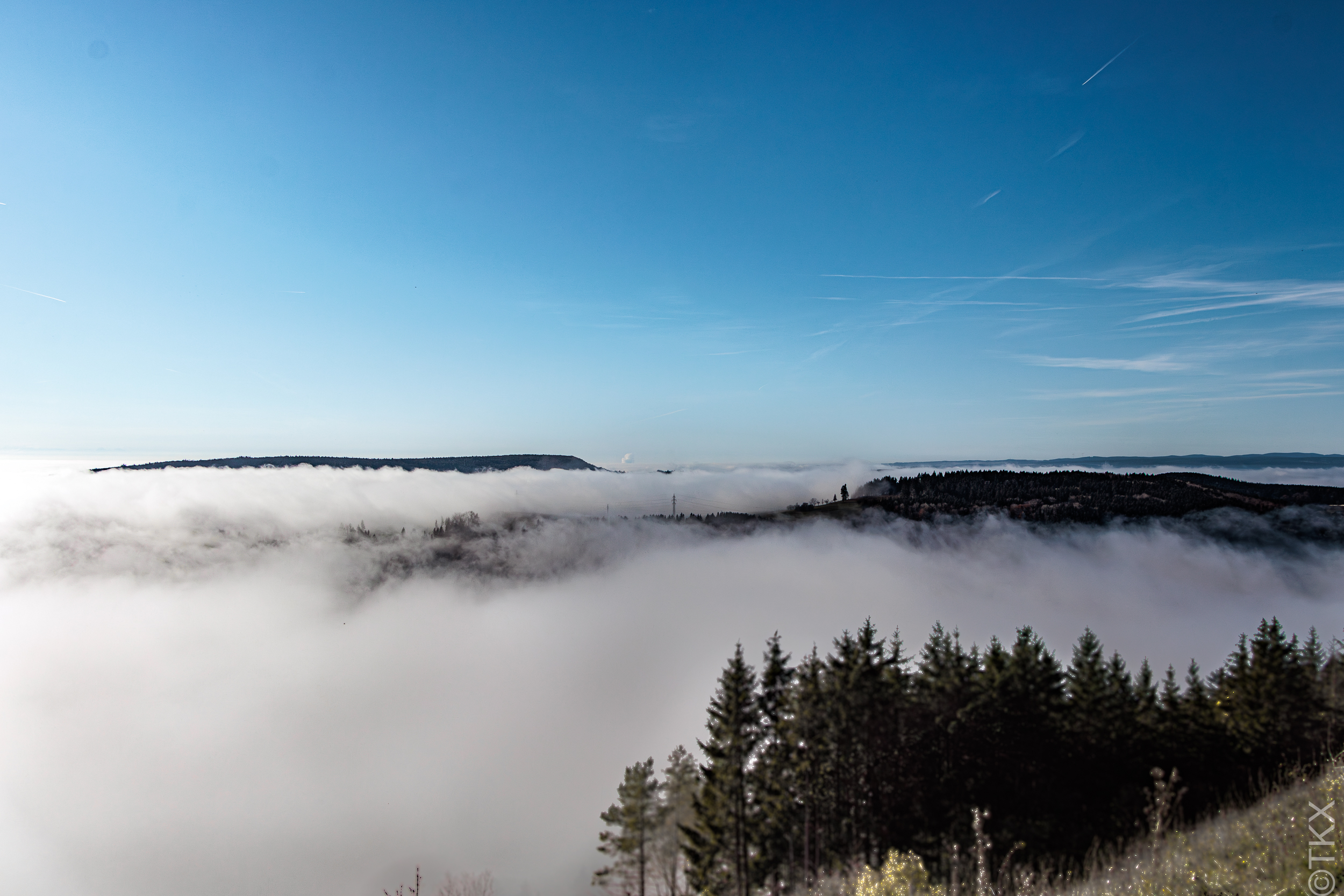 20241110 20241110 IMG 2725 Verbessert RR