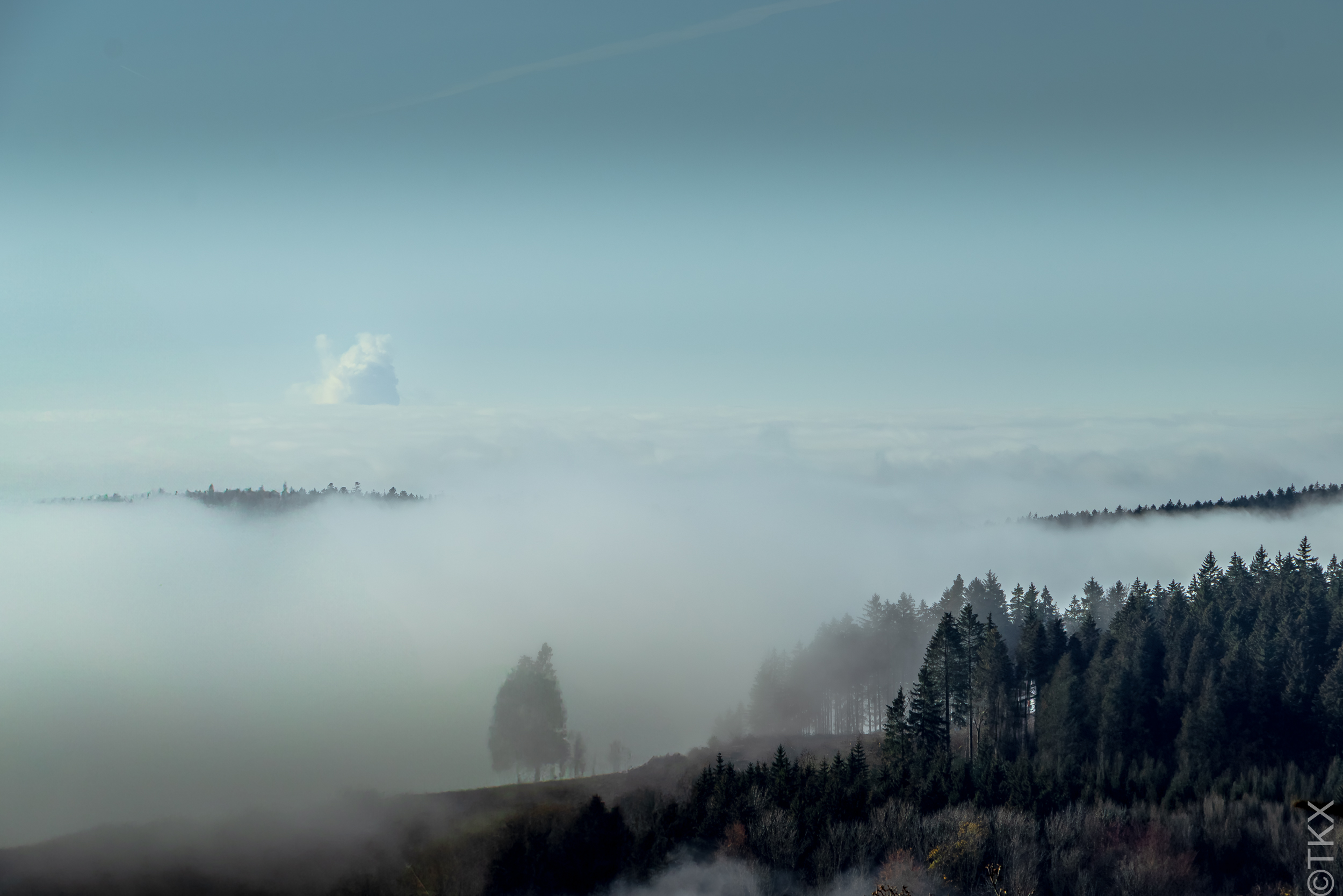 20241110 20241110 IMG 2731 Verbessert RR