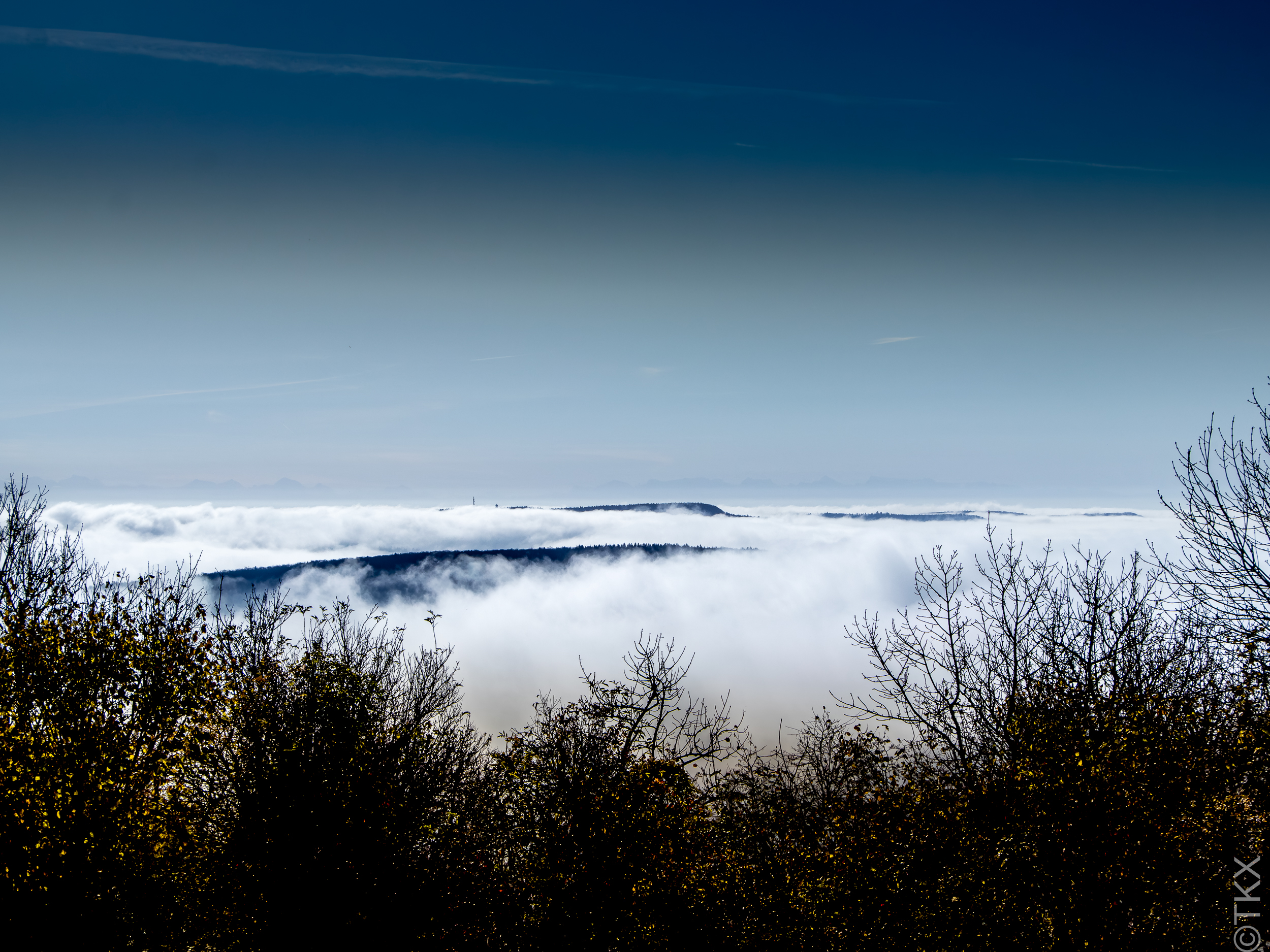 20241110 20241110 IMG 2732 Verbessert RR