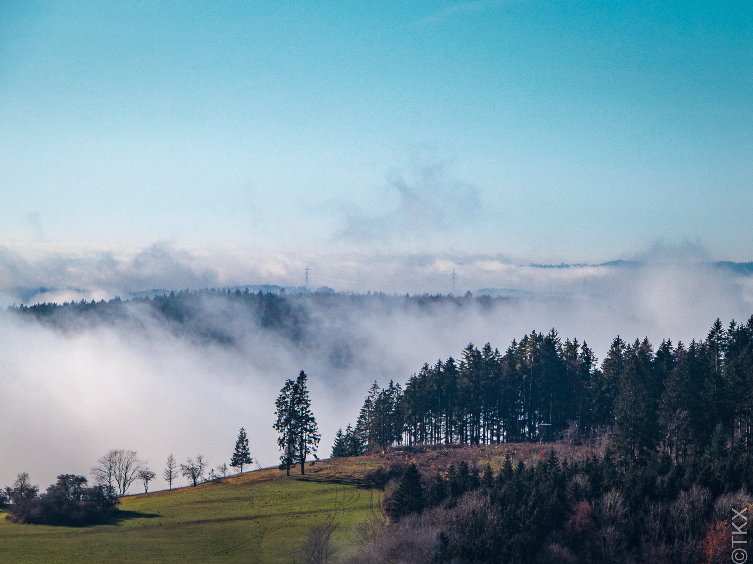 20241110 20241110 IMG 2752 Verbessert RR