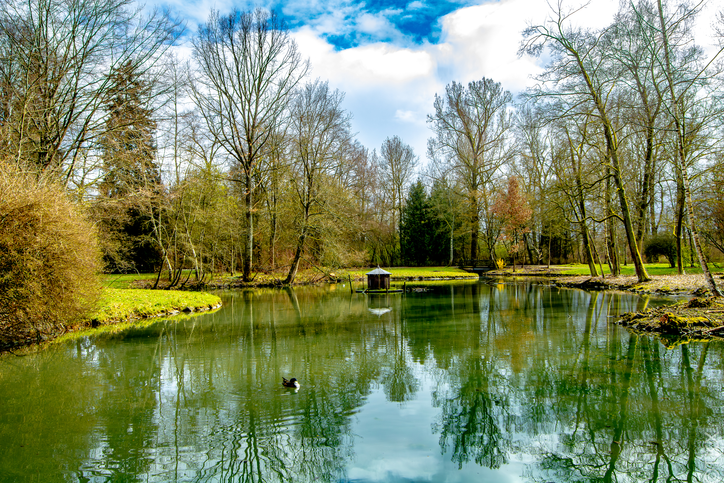 20230402 20230402 IMG 4815 Verbessert RR