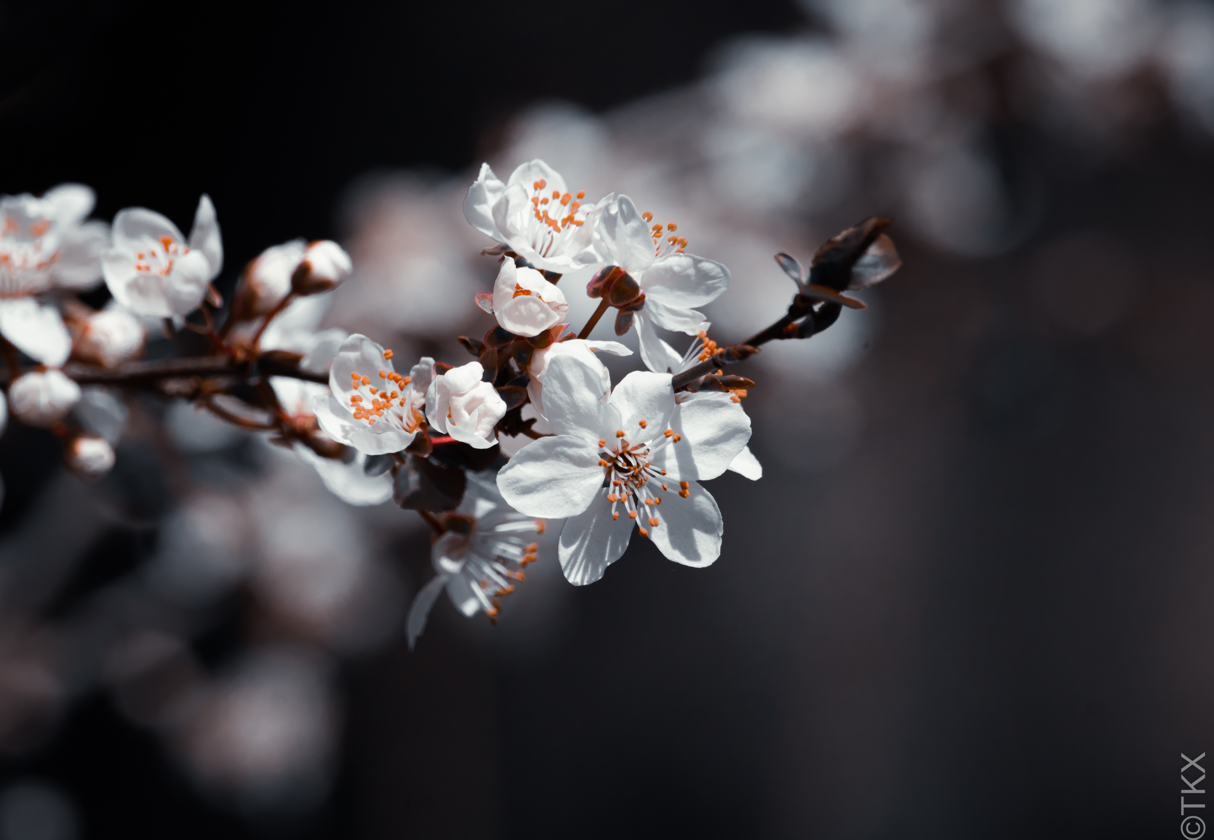 20230410 20230410 IMG 4928