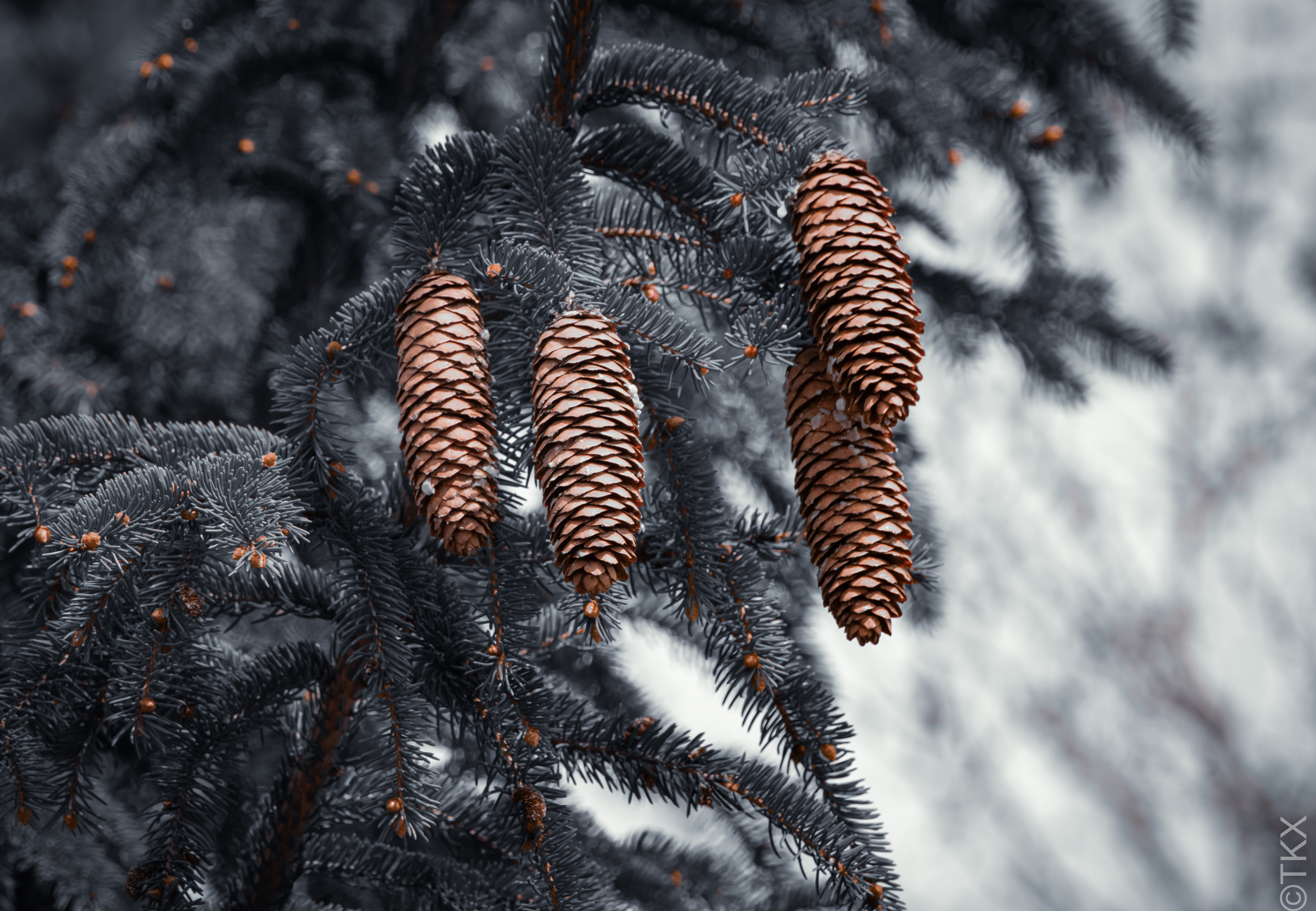 20230410 20230410 IMG 4946