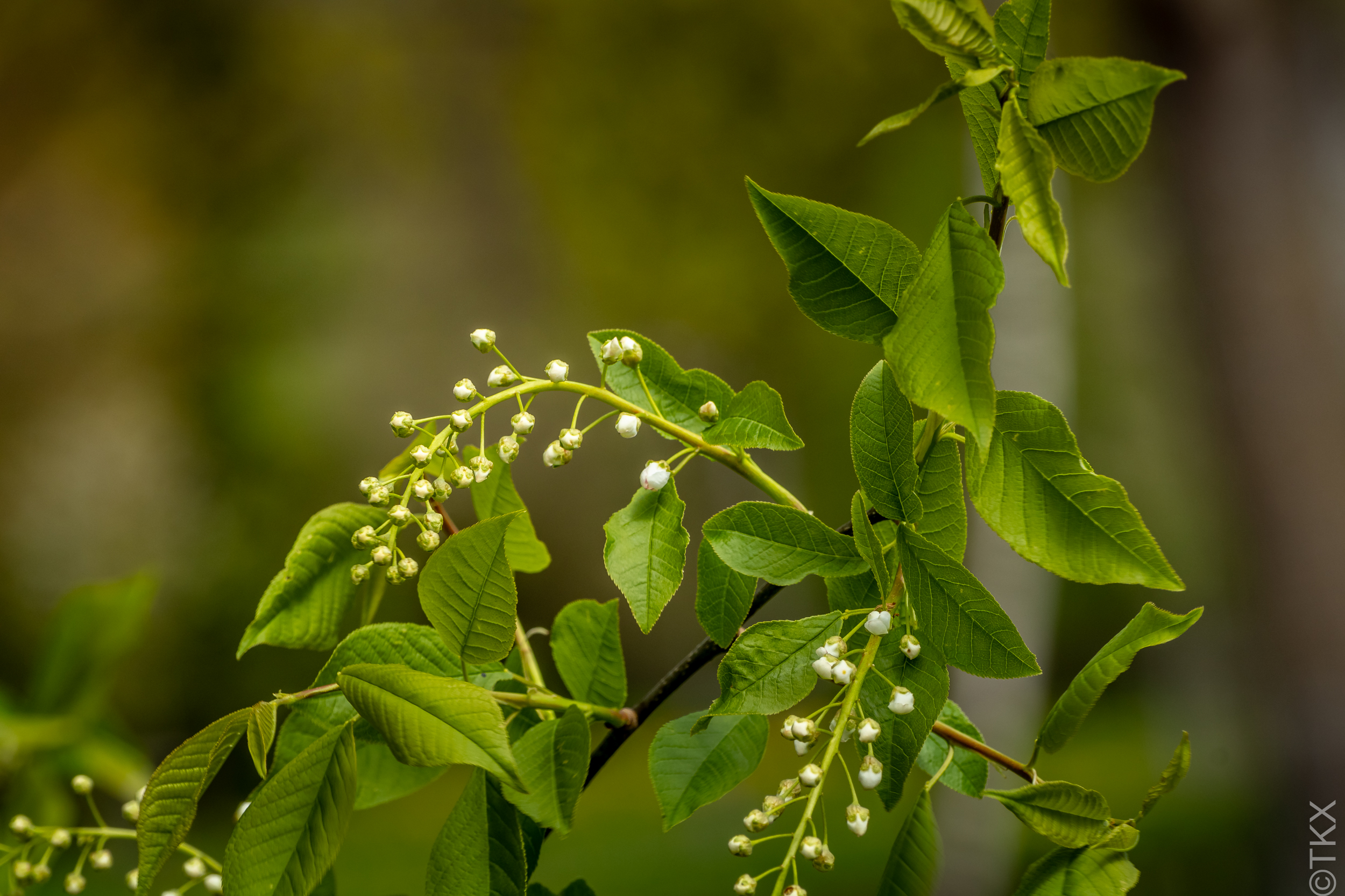 20230429 20230429 IMG 5036