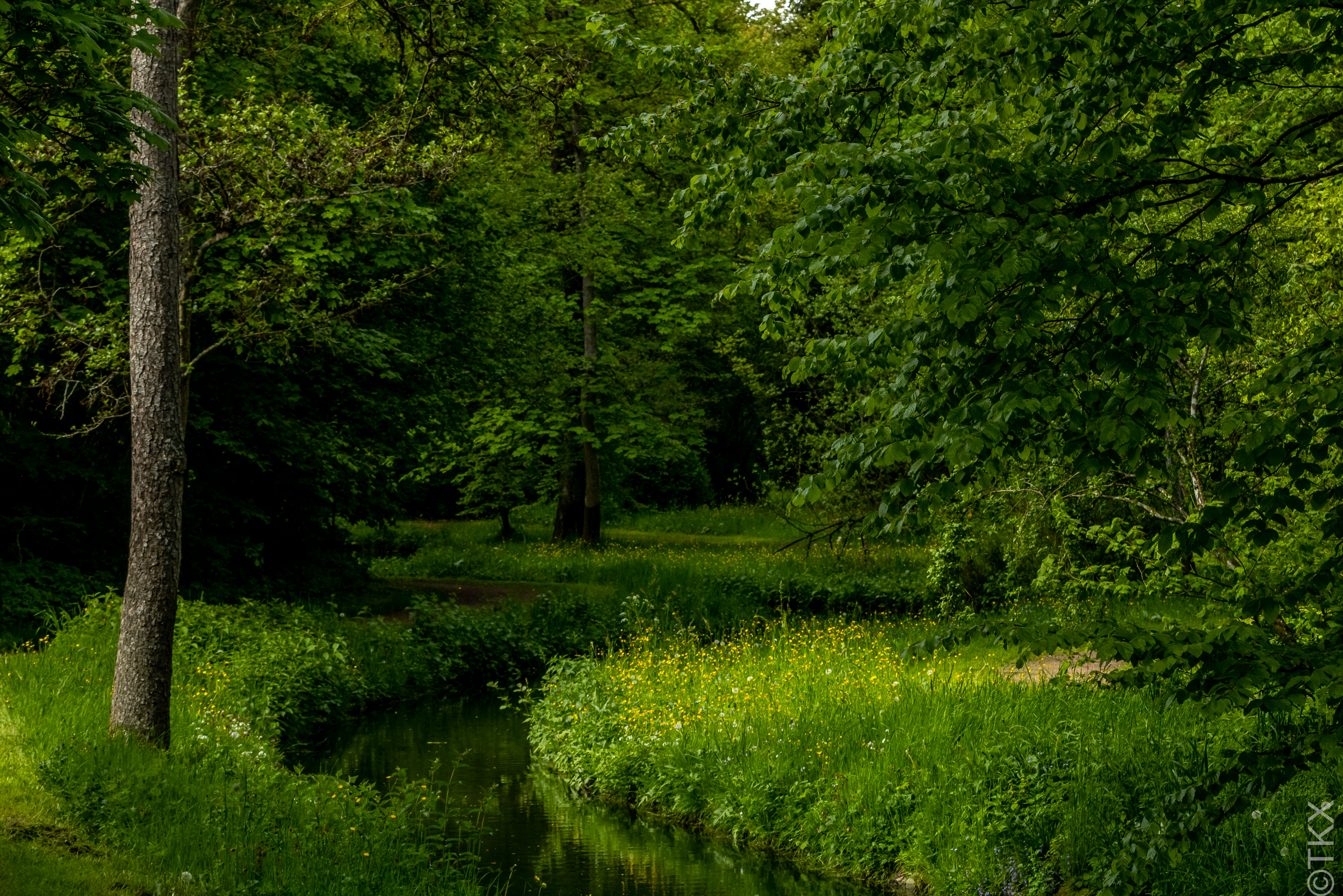 20230514 20230514 IMG 5153