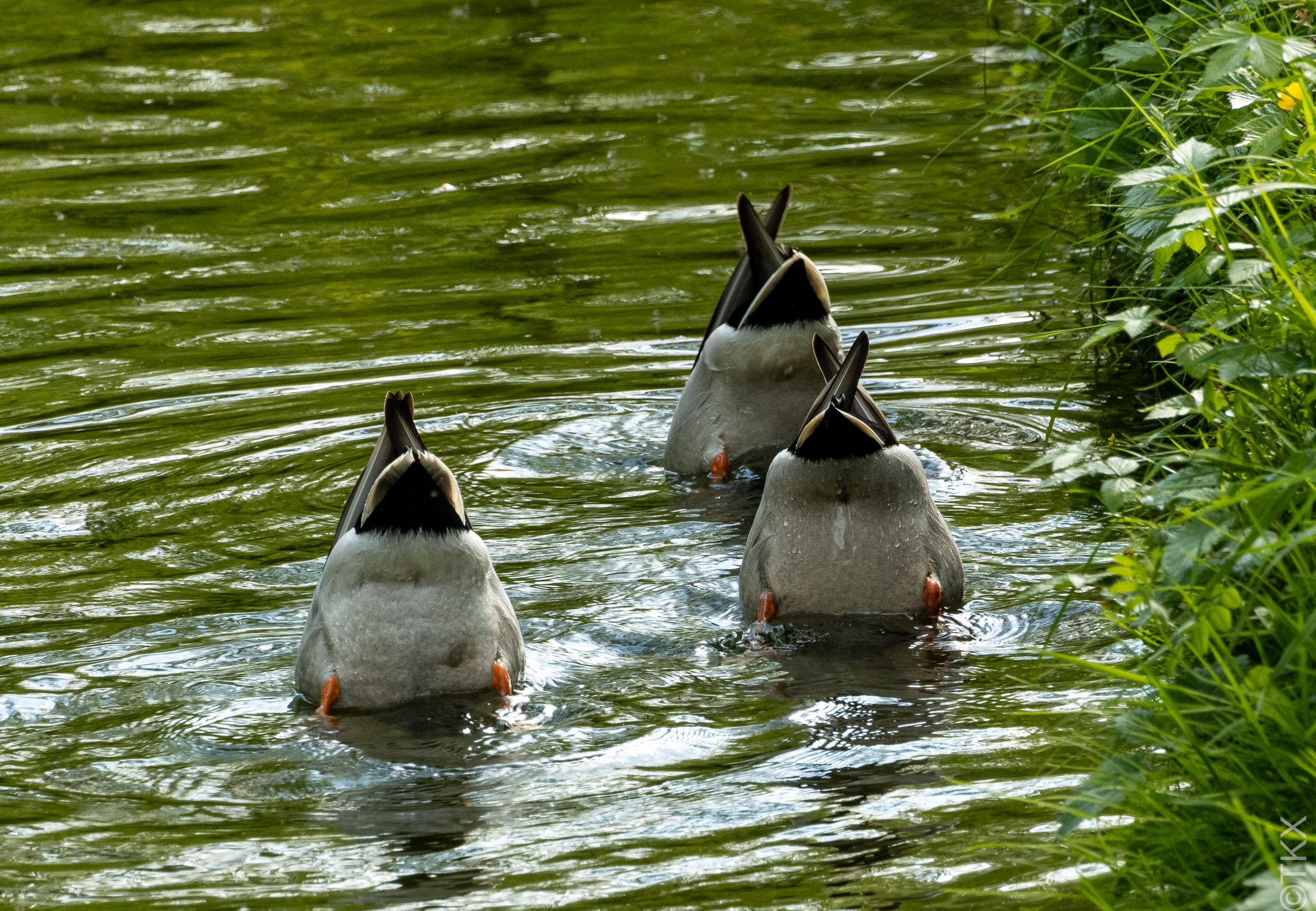 20230514 20230514 IMG 5155