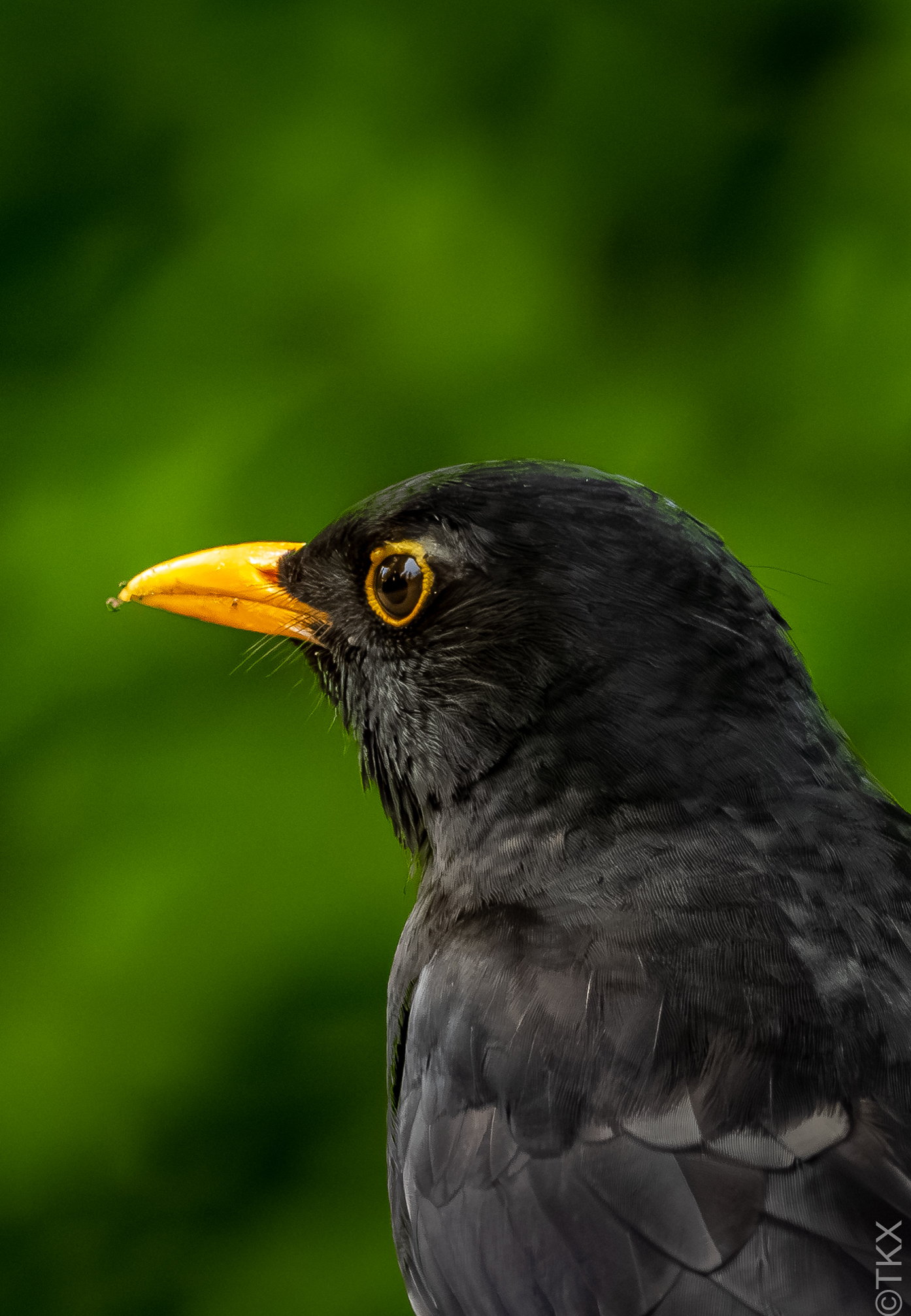 20230520 20230520 IMG 5255 Verbessert RR