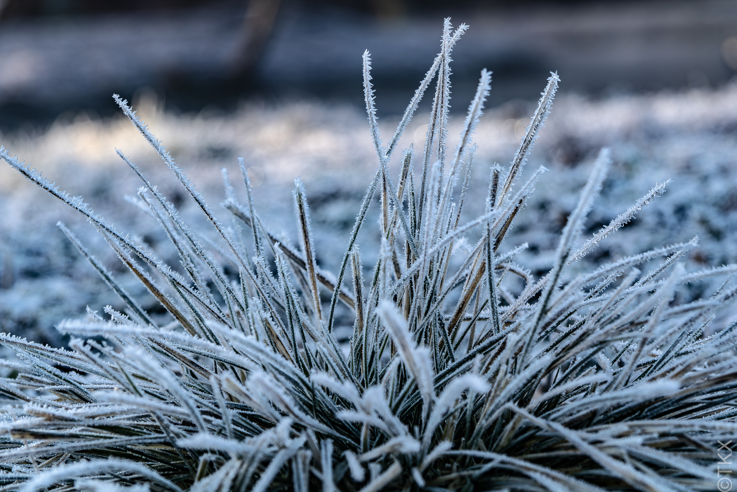 20240128 20240128 IMG 5984 Verbessert RR