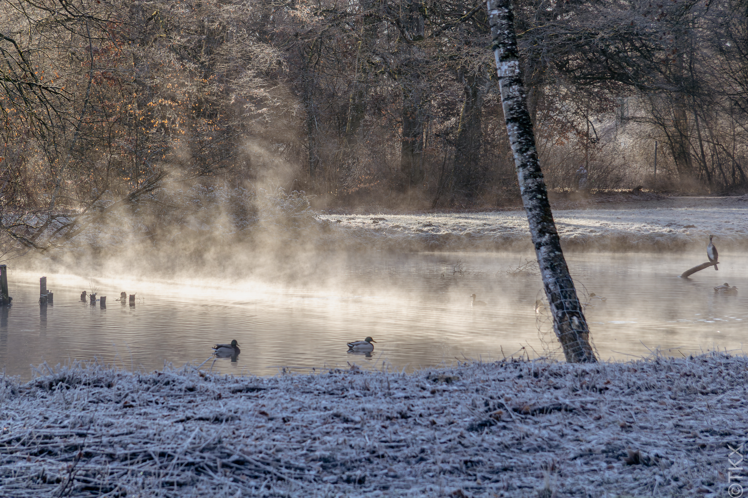 20240128 20240128 IMG 5985 Verbessert RR