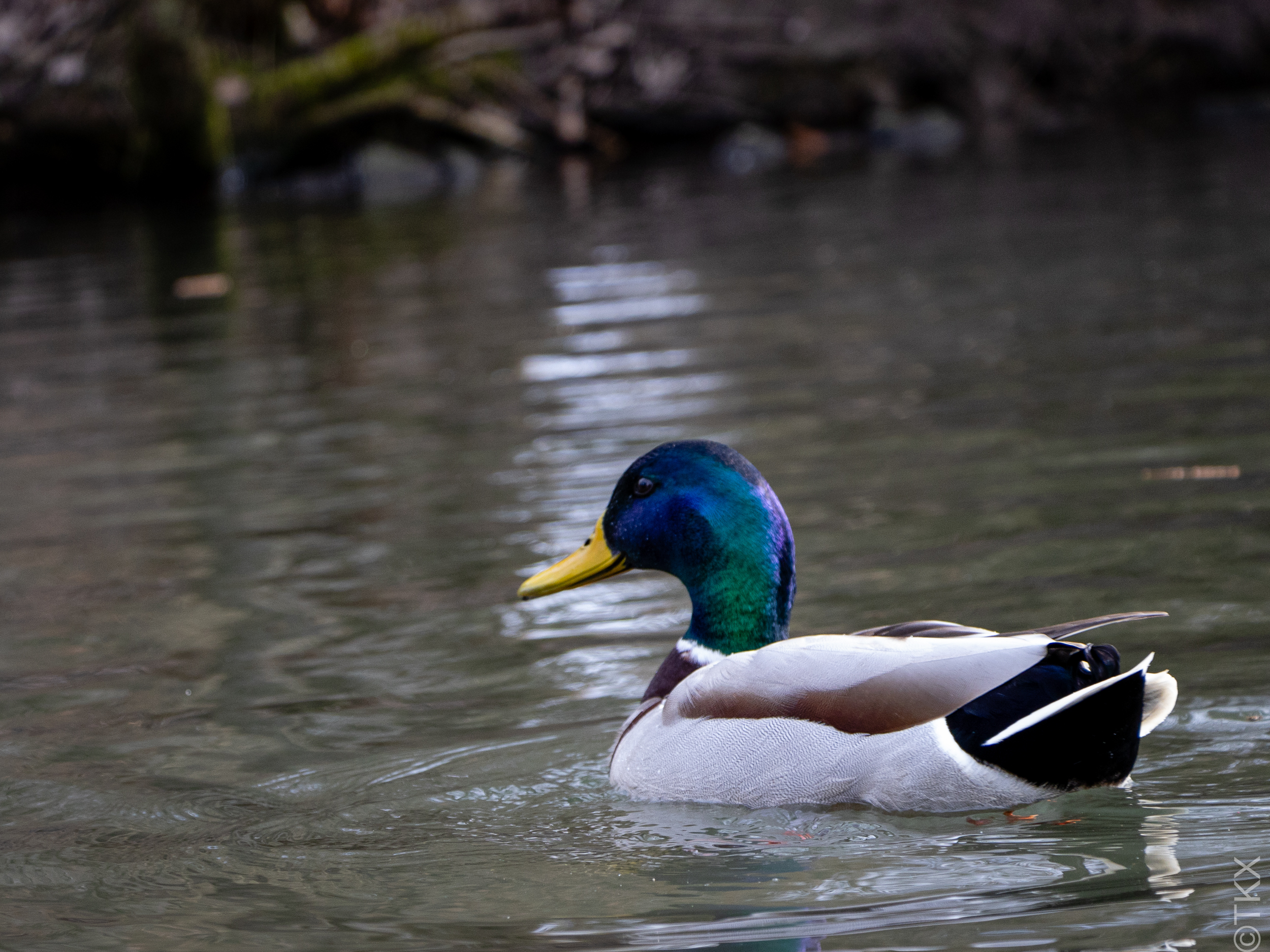 20240309 20240309 IMG 0462