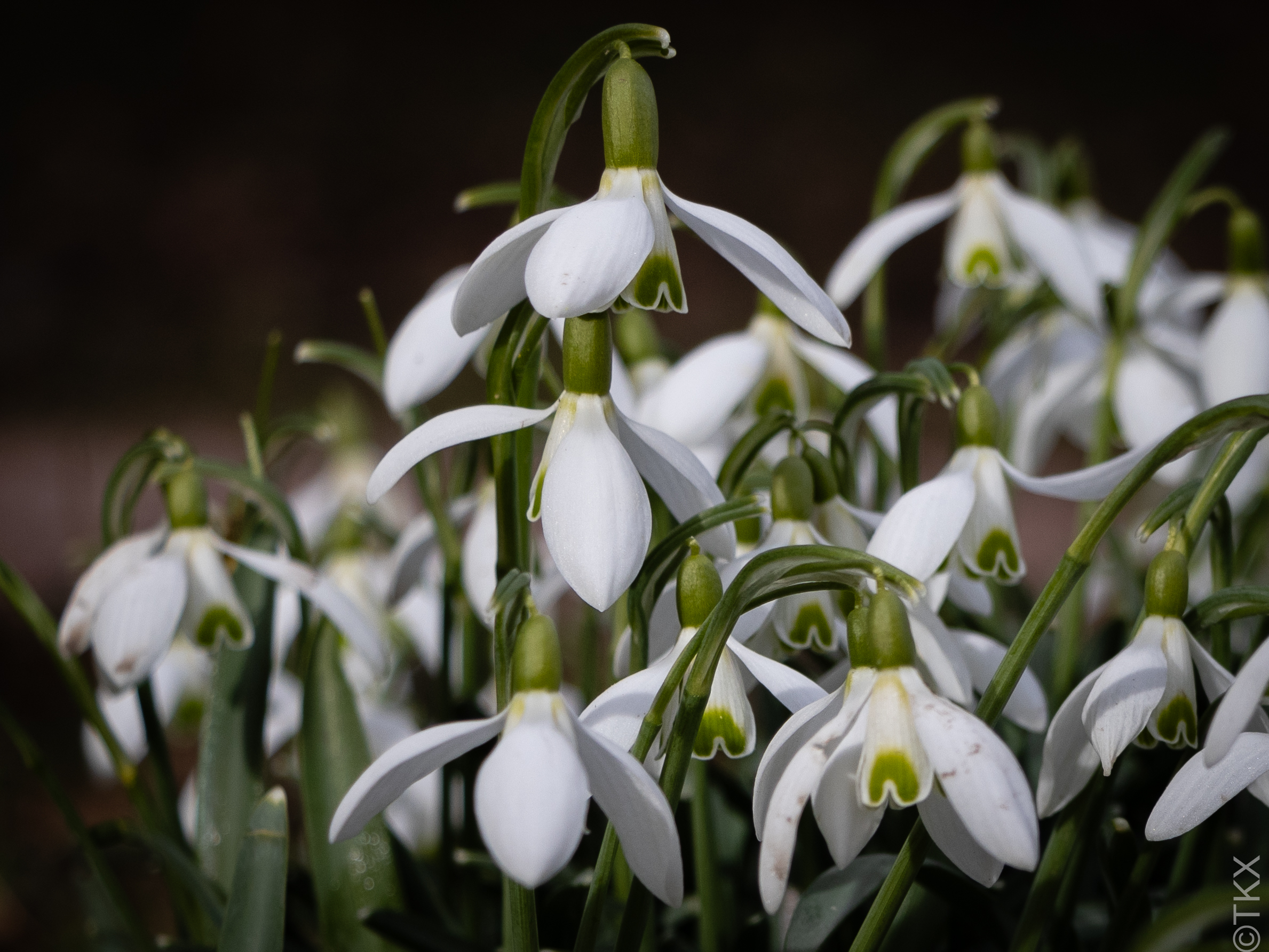 20240309 20240309 IMG 0492