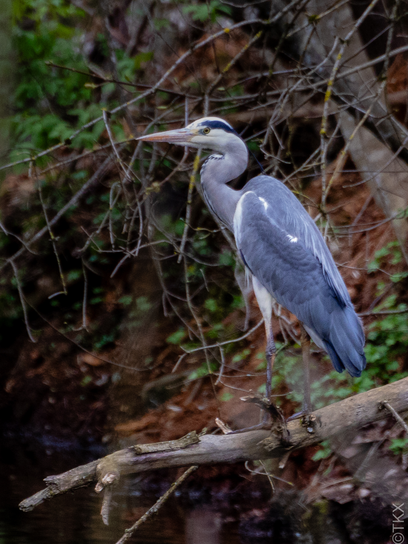 20240407 20240407 IMG 0782