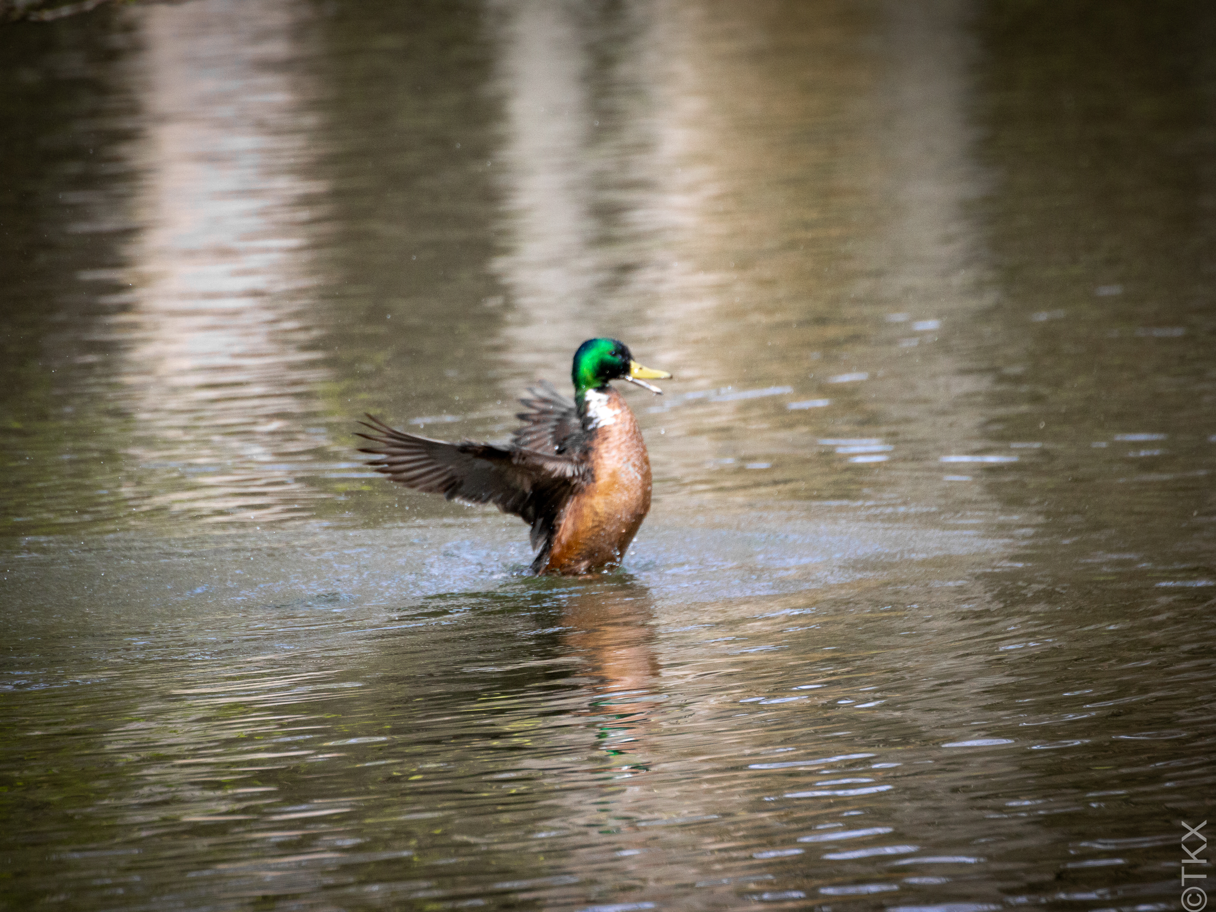 20240407 20240407 IMG 0820