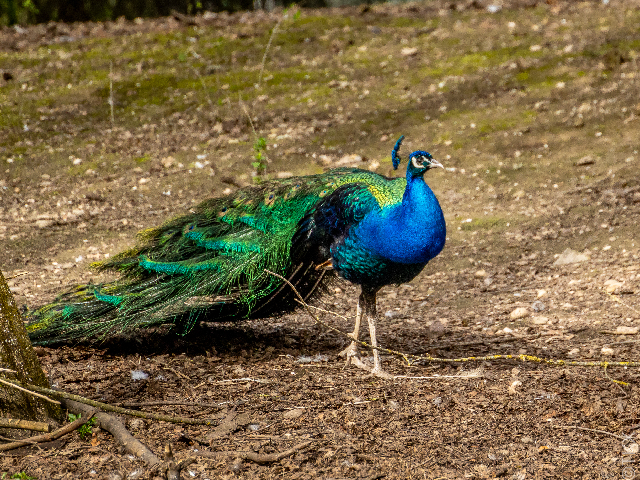 20240407 20240407 IMG 0822