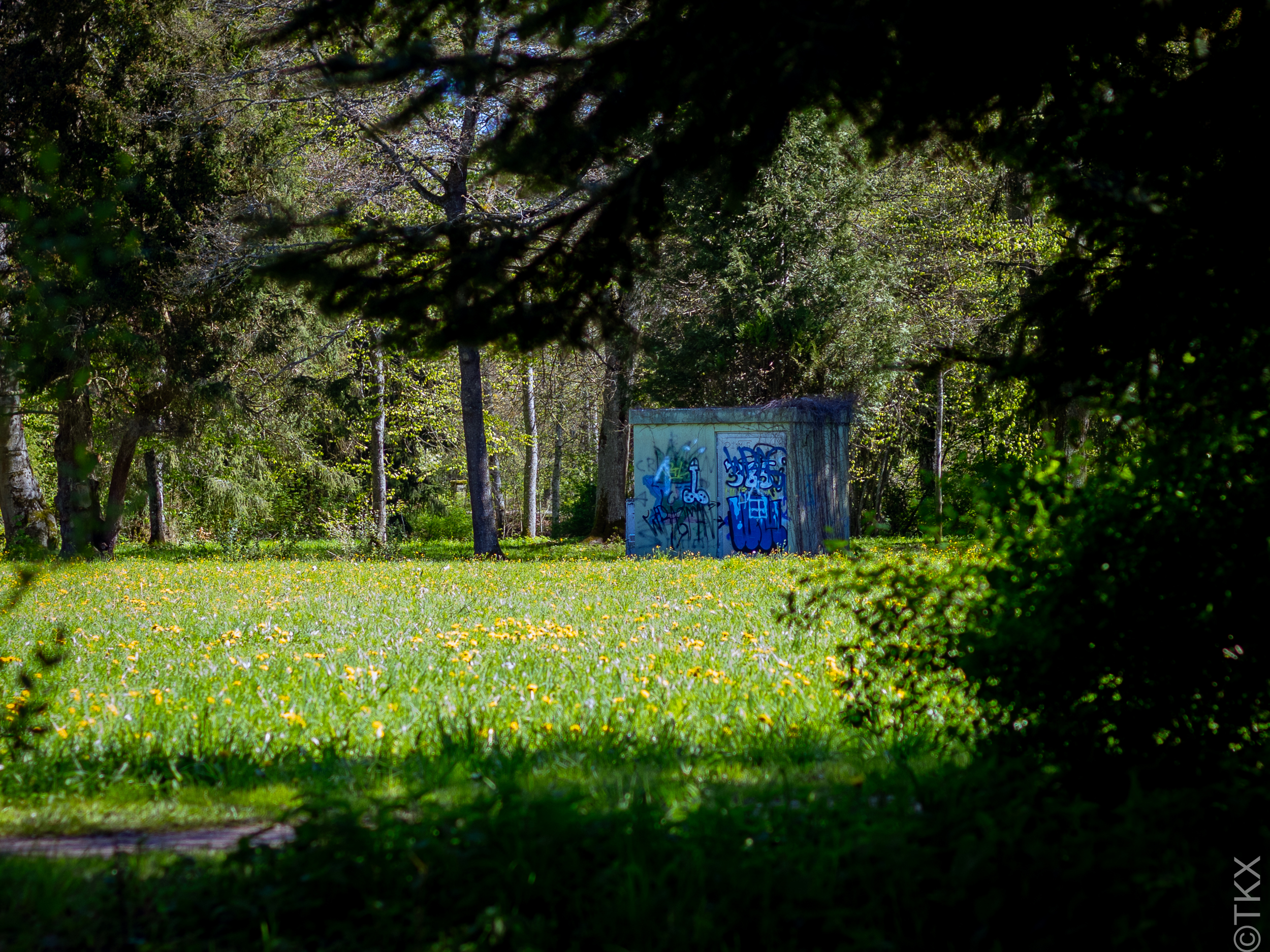 20240427 20240427 IMG 1054