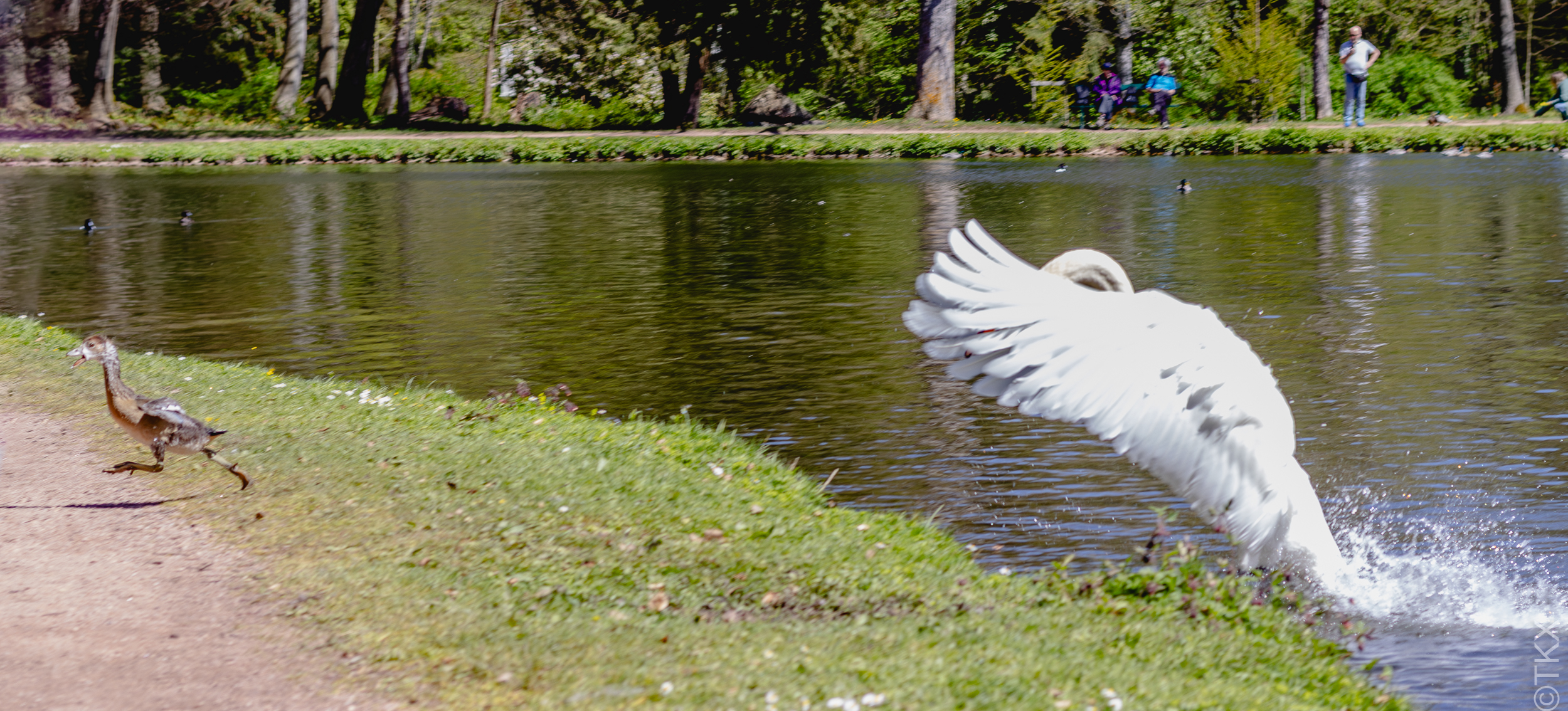 20240427 20240427 IMG 1104 Verbessert RR