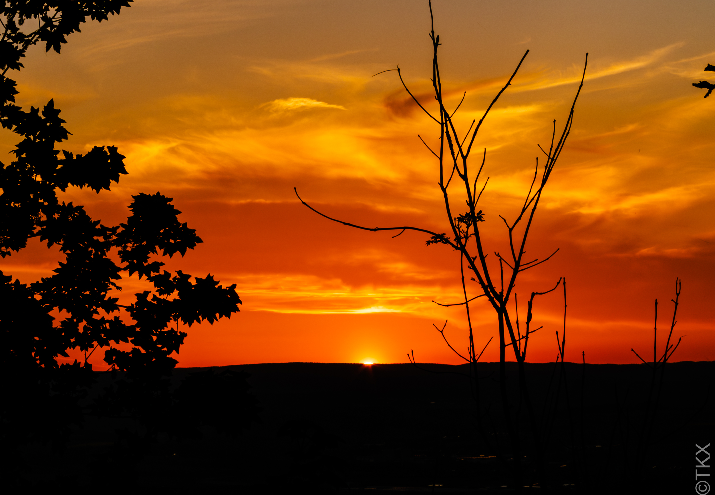 20220515 20220515 IMG 4257 Verbessert RR